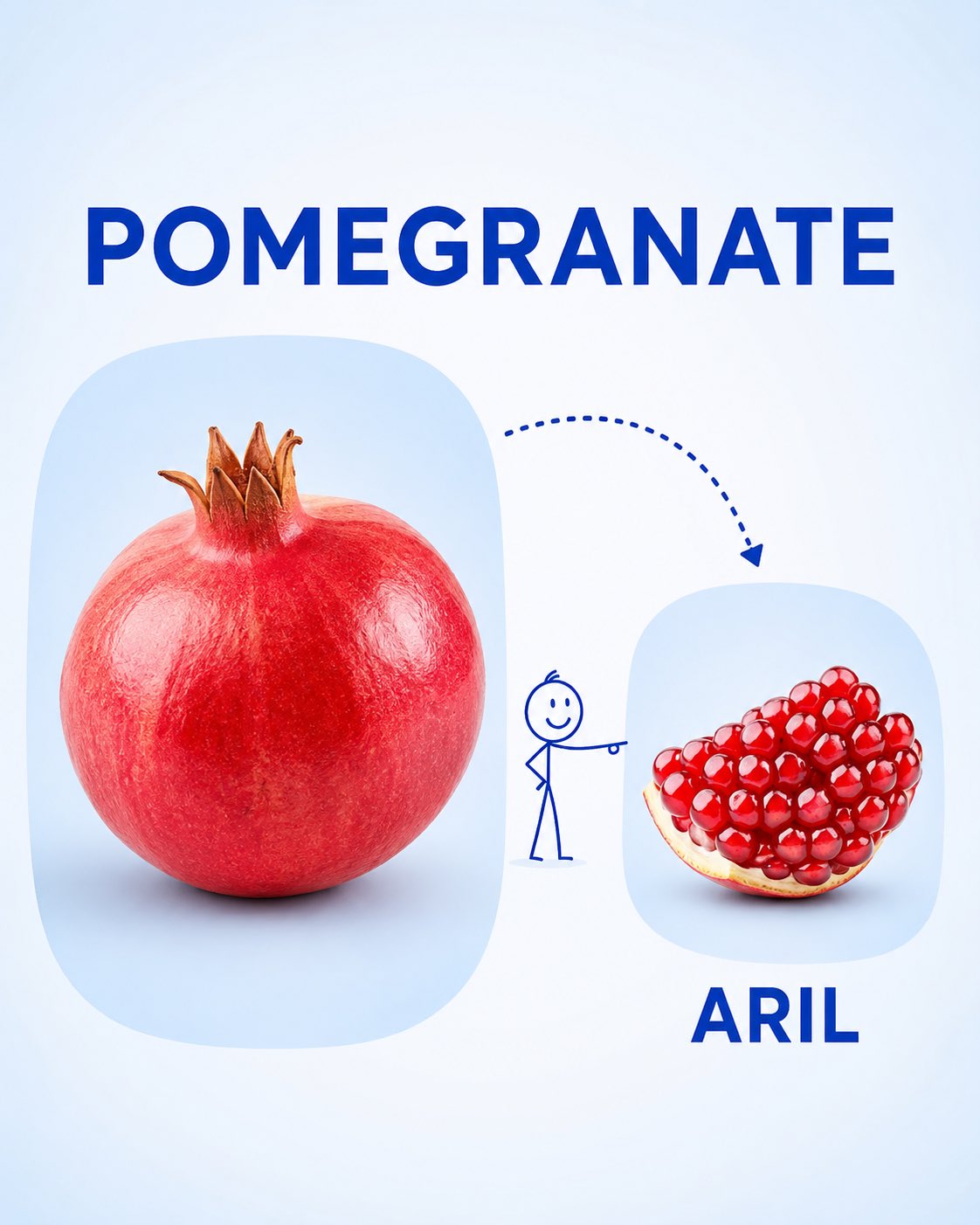 Preschool Fruit Vocabulary Learning Poster — AI image prompt — GPT Image 2 — Poster, Realistic - 2